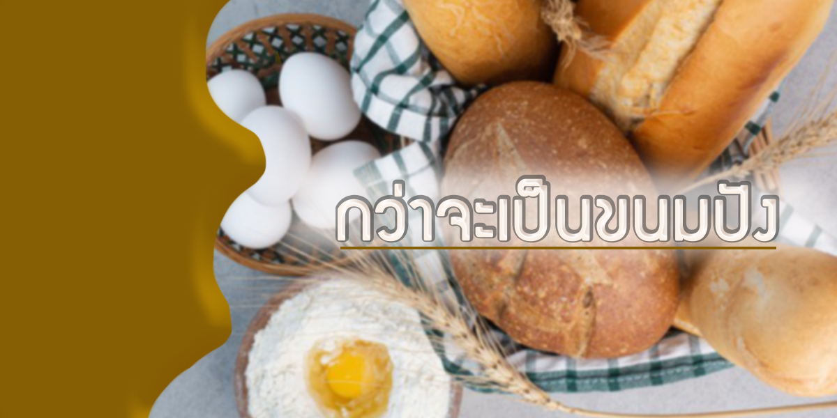 กว่าจะเป็นขนมปัง